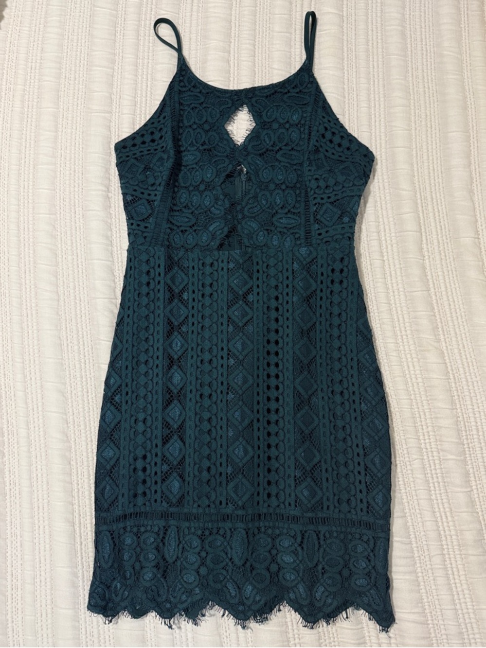 Lizard Thicket Teal Lace Dress